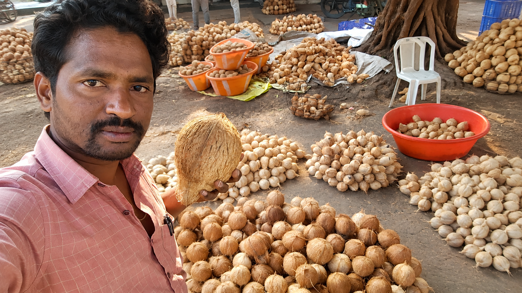 Fresh coconuts
