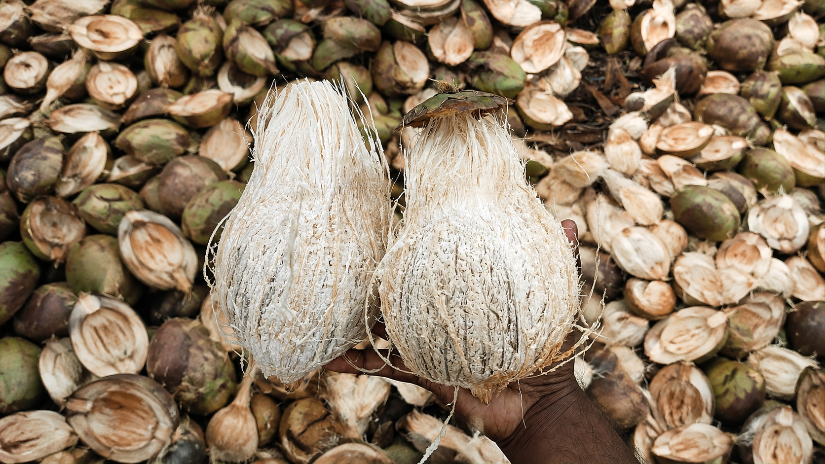 Coconut packing